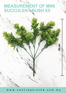 Mini Succulent Bush x5 (Pieces/Dozen)