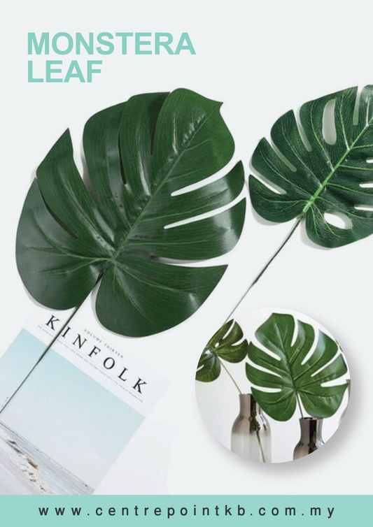 Monstera Leaf (12pcs/Dozen)