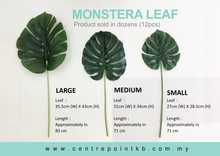Monstera Leaf (12pcs/Dozen)