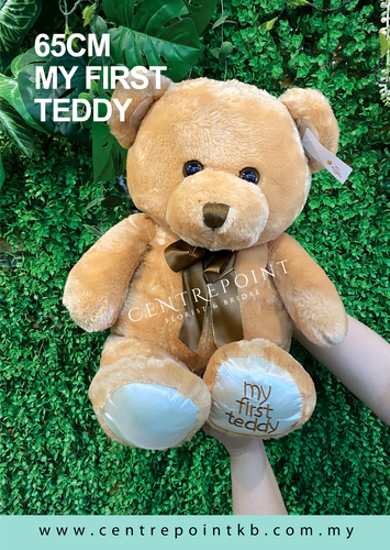 65CM My First Teddy (RM 65.00)