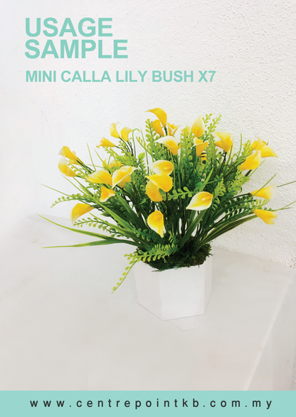 Mini Calla Lily Bush x7 (Pieces)
