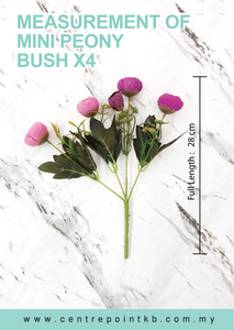 Mini Peony Bush x4 (Pieces / Dozen)