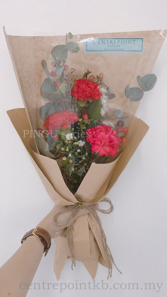 Carnation Of Care (RM 48.00)