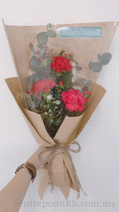 Carnation Of Care (RM 48.00)