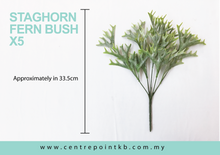 Staghorn Fern Bush X5 (Pieces/Dozen)