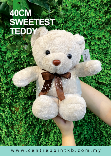 40CM Sweetest Teddy (RM 45.00)
