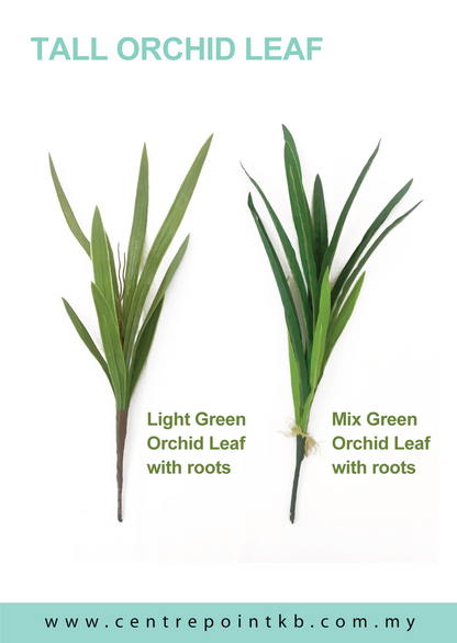 Tall Orchid Leaf (Pieces/Dozen)