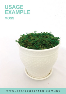 Moss / Lumut (Pack)