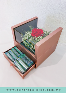 Aurora Box (RM 115.00)