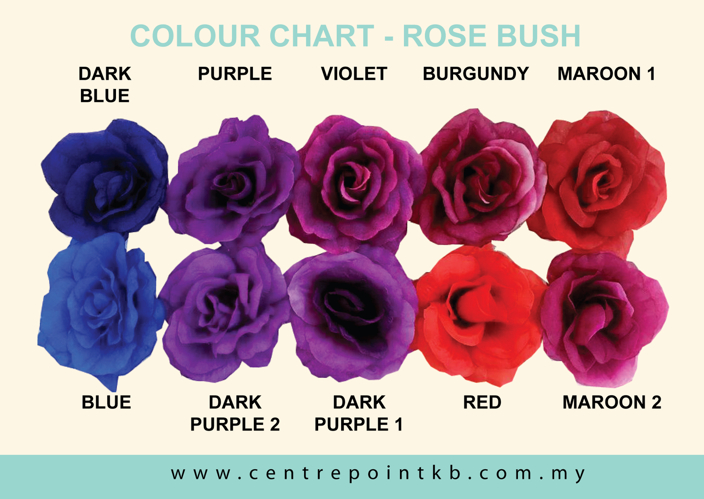 Rose Bush X5 (12pcs/Dozen)