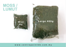 Moss / Lumut (Pack)