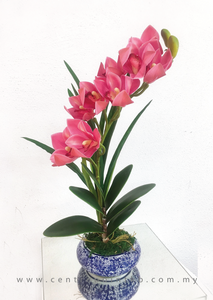 Modern Orchid Arrangement 02 (RM 85.00)