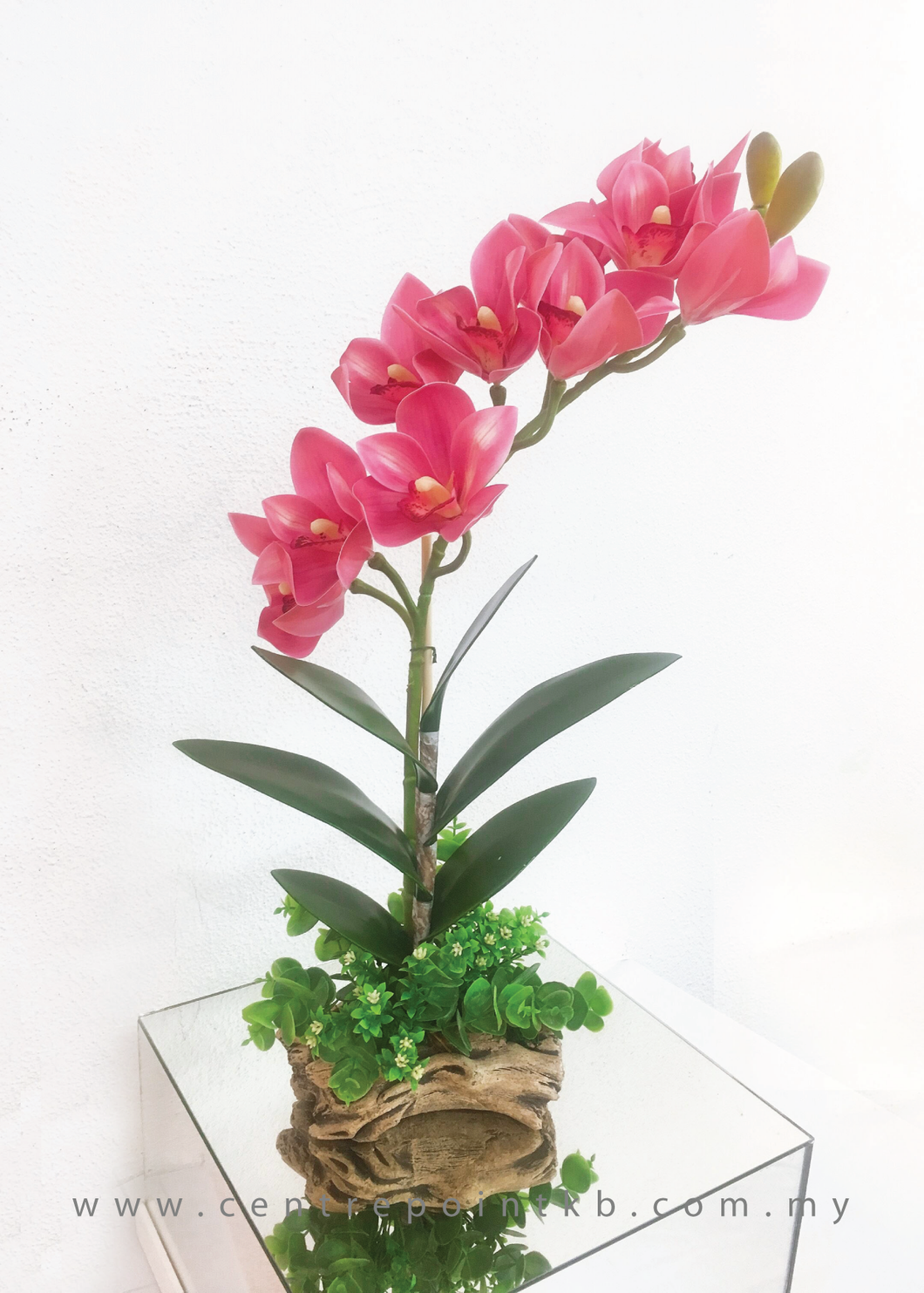 Modern Orchid Arrangement (RM 80.00)