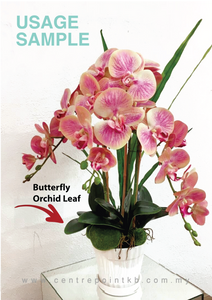 Butterfly Orchid Leaf X5 【Premium】 (Pieces/Dozen)