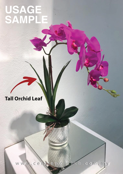 Tall Orchid Leaf (Pieces/Dozen)